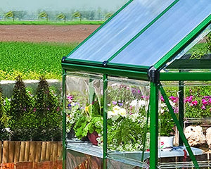 Palram HG5510G Hybrid Hobby Greenhouse, 6' x 10' x 7', Forest Green