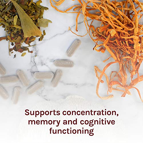 Host Defense, MycoBotanicals Brain, Promotes Concentration, Memory and Cognitive Functioning, Daily Mushroom and Herb Supplement, Vegan, Organic, 60 Capsules (30 Servings)