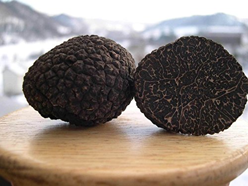 Spores Black Truffle Mushrooms Seeds Dried Mycelium Spawn for Planting Non GMO 100 Seeds