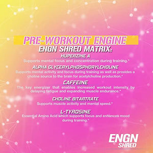 Evlution Nutrition ENGN Shred Pre Workout Powder, Energy, 30 Servings (Pink Lemonade)