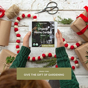 Indoor Herb Garden Starter Kit - Certified USDA Organic Non GMO - 5 Herb Seed Basil, Cilantro, Parsley, Sage, Thyme, Potting Soil, Peat Pots - DIY Kitchen Grow Kit for Growing Herb Seeds Indoors