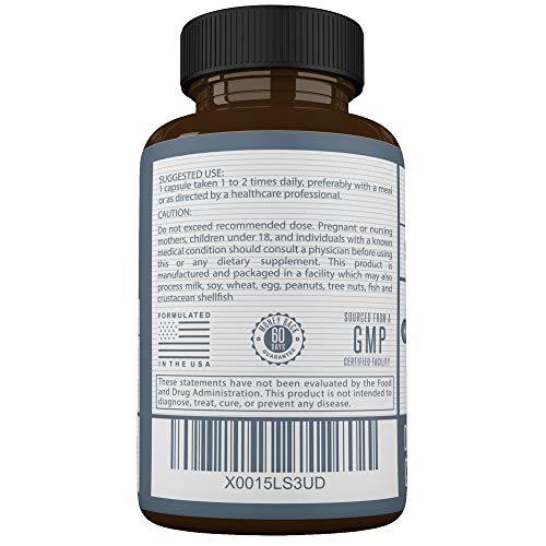 Acetyl L-Carnitine with Alpha Lipoic Acid - ALA ALC ALCAR - Alpha Lipoic Acid with Acetyl L-Carnitine - 525 mg ALCAR - 225 mg ALA - 90 Capsules