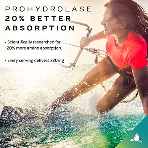 Whey Protein Powder | MuscleTech Clear Whey Protein Isolate | Whey Isolate Protein Powder for Women & Men | Clear Protein Drink | 22g of Protein, 90 Calories | Arctic Cherry Blast, 1.1lb (19 Servings)