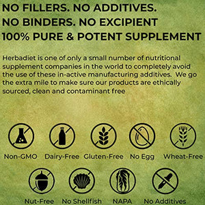 Organic Wheat Grass Whole Leaf 500mg Tablets Pills | Energy, Detox, Immune Support Alkalize Green Superfood Supplement | Non-GMO Gluten Free (240 Tablets)