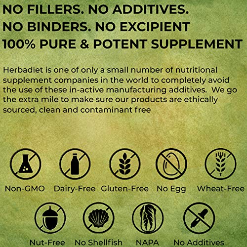 Quercetin Dihydrate 98% Extract Powder | Normal Cardiovascular & Respiratory Health, Immune System & Energy Support, Antioxidant | Non-GMO, Gluten Free (5 Gram)