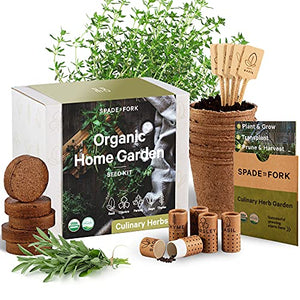 Indoor Herb Garden Starter Kit - Certified USDA Organic Non GMO - 5 Herb Seed Basil, Cilantro, Parsley, Sage, Thyme, Potting Soil, Peat Pots - DIY Kitchen Grow Kit for Growing Herb Seeds Indoors
