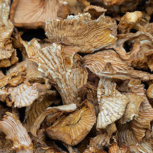 West Coast Wild Foods | Dried Wild Mushrooms (Chanterelle, 1lb)