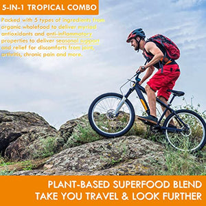 Turmeric Curcumin Gummies with Quercetin, Bromelain, Ginger, Bioperine - Organic & Vegan Anti-inflammatory, Seasonal, Immune, Joint Support Tumeric Curcumin Supplement with Black Pepper - 2Pc/120ct