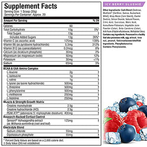Creatine Powder | MuscleTech Cell-Tech Elite Creatine Powder | Post Workout Recovery Drink | Muscle Builder for Men & Women | Creatine HCl Supplement | ICY Berry Slushie (20 Servings)
