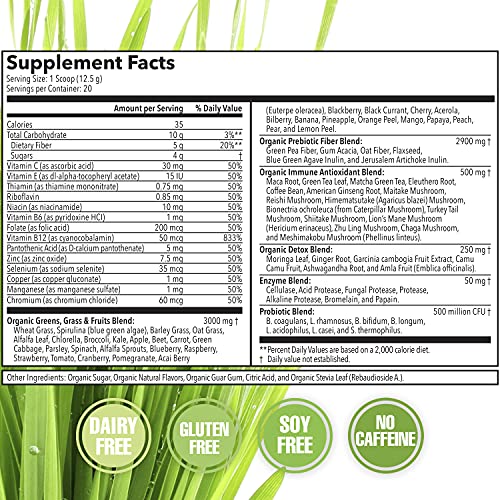 Terra Kai Organics JUCE Greens Superfood Drink Mix - Harvest Apple Flavor - 40 Servings - Fruits & Vegetables for Immune Boost, Detox & Cleanse, Improve Gut Health (17.44 Ounce, Pack of 2)
