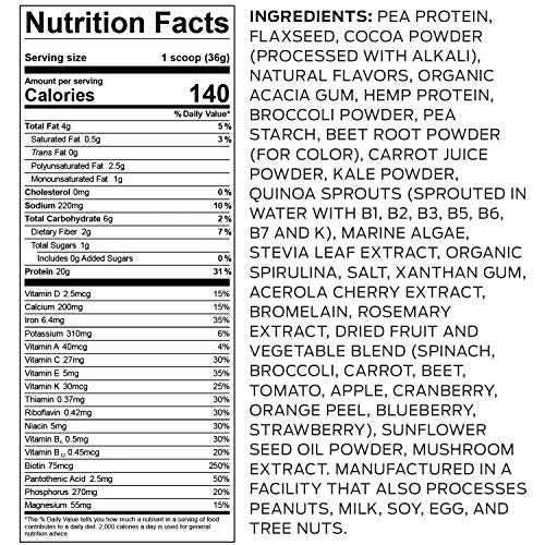 Vega Essentials Plant Based Protein Powder, Chocolate, Vegan, Superfood, Vitamins, Antioxidants, Keto, Low Carb, Dairy Free, Gluten Free, Pea Protein for Women and Men, 2.4 Pounds (30 Servings)