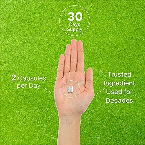 TUDCA Supplement 600mg, 30 Servings, Ultra Strength Bile Salts TUDCA Liver Support - Detox and Cleanse | Genuine Bile Acid TUDCA for Liver Health