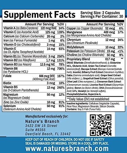 Advanced Brain Booster Supplements - 40 Ingredients Memory Focus & Clarity Vitamins Plus eBook - Boost Energy, Elevate Brain Function Nootropic Power Support with DMAE - 60 Brain Health Formula Pills