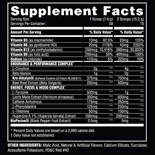 Steel Supplements PRE-Workout| Clean Energy | Intense Focus | PH Balanced Creatine | Antioxidant | Increased Pump | 30 Servings (Blue Sky)