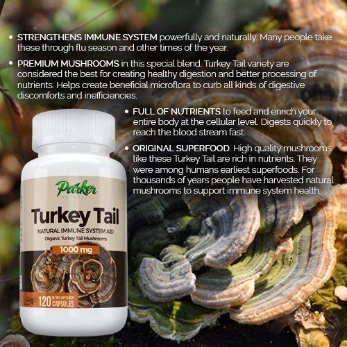 Premium Organic Turkey Tail Mushroom Capsules by Parker Naturals Supports Immune System Health. Nature's Original Superfood. 120 Capsules …