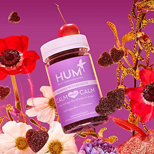 HUM Calm Sweet Calm - Calm Support Gummies with L-Theanine & Ashwagandha for Stress Relief - Vegan Gummy Supplement for Relaxation & Mood Support - Sour Cherry Flavor (60 Vegan Gummies)