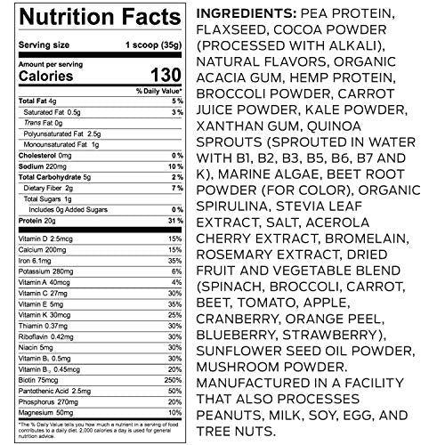 Vega Essentials Plant Based Protein Powder, Mocha, Vegan, Superfood, Vitamins, Antioxidants, Keto, Low Carb, Dairy Free, Gluten Free, Pea Protein for Women and Men,1.4 Pounds (18 Servings)