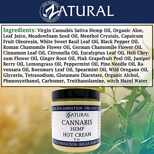 Zatural Hemp Hot Cream with Essential Oil Blend, Aloe, Hemp, and More (8oz 2-Pack)