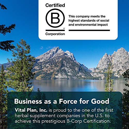 Vital Plan Prevention Plus Daily Multivitamin by Dr. Bill Rawls - Herbal Antioxidant & Multimineral for Women & Men - Vitamins A B D C E, Biotin & Zinc