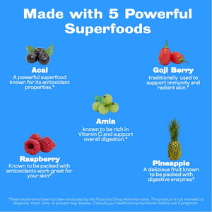 Sunwink Beauty Fruit Punch Organic Superfood Powder Mix Antioxidants for Glowing Radiant Skin, Hydration Support, Plant Based Drink Mix with Acai Berry, Amla, Goji Berry, No Added Sugar (40 Servings)
