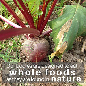 SpeedyVite Earth's Nutrition 14oz Powder - Organic Whole Food Supplement* Super Food with Wheat Grass, Spirulina, Alfafa Grass, Barley Grass & Purple Dulse Seaweed