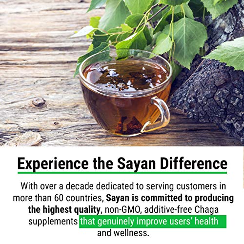 Sayan Siberian Raw Ground Chaga Powder 1 Lbs (454g) - Wild Forest Mushroom Tea, Powerful Adaptogen Antioxidant Supplement - Support for Immune System, Digestive Health and Inflammation Reduction