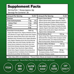 Super Greens Antioxidant Superfood Powder - Organic Green Veggie & Fruit Whole Foods for Immune System Support - Wheat Grass, Spirulina, Elderberry & More - Vegan Juice Supplement, Sweet Berry