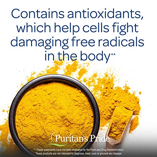 Puritan's Pride Turmeric Curcumin 500 Mg Contains Antioxidants, 360 Total Count (2 Packs of 180 Count Capsules), 360 Count