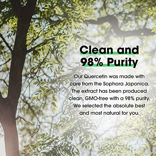 Samsara Herbs Quercetin 98%+ Pure Extract Powder (2oz/57g) - Equal to 114 x 500mg Capsules - Natural Antihistamine, Antioxidant and Immune Support - N