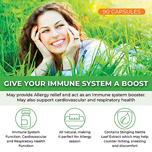 Quercetin 500mg with Bromelain, Vitamin C and Stinging Nettle – Advanced Sinus and Allergy Supplement – Natural Vegetable Capsules – Non GMO, Dairy, Gluten, Egg and Nut Free - by ForestLeaf (180)