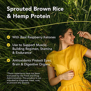 North American Herb & Spice NutriHemp Raw, Raspberry Extreme - 28.2 oz - Sprouted Brown Rice & Hemp Protein - with High-Antioxidant, Ketone-Rich Raspberry Powder - Vegan, Non-GMO - 28 Servings