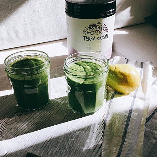 Terra Origin, Plant Protein, Powder, Vanilla Chai, 15 Servings Includes Organic Brown Rice Protein and Pea Protein Isolate, Vegan, Gluten Free, 18g Protein