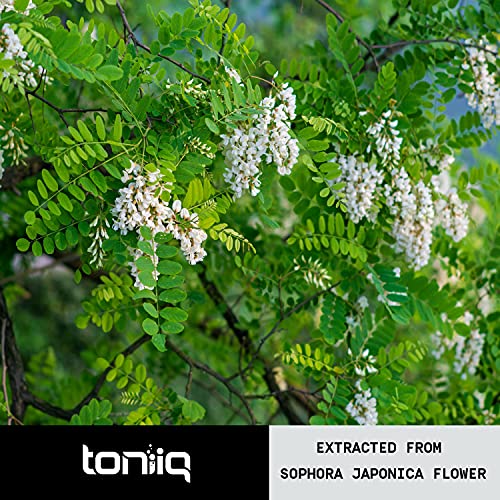 Ultra High Purity Quercetin Capsules - 95%+ Highly Purified and Highly Bioavailable - 1000mg Per Serving - 120 Capsules Quercetin Supplement