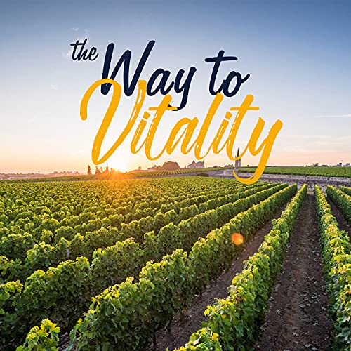 Vitalitown Zinc Picolinate & Gluconate 50 mg | 60 Veggie Capsules | 2 Forms of Chelated Zinc | Well-Absorbed | Immune System, Healthy Skin, Growth & Development | Vegan, NO Gluten NO Dairy, Non-GMO