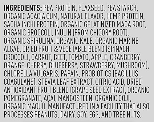 Vega One All in One Nutritional Shake French Vanilla - Plant Based Vegan Protein Powder, Non Dairy, Gluten Free, Non GMO, 29.2 Ounce (Pack of 1)