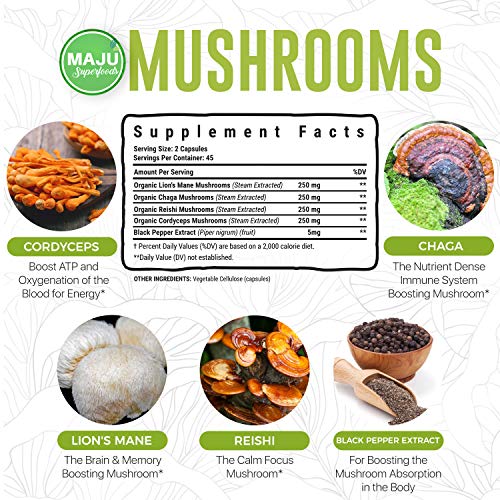 Maju Mental Mushroom Capsules - Mushroom Extract Supplement w/Lion's Mane, Cordyceps, Reishi and Chaga - Boost Your Focus, Energy, Wellness and Immune System - Nootropic Mushrooms Immune Support