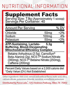 Purus Labs Condense Melonberry Cooler Endurance Enhancing Pre-Workout Powder – Caffeine for Energy – Beta-Alanine – Great Pumps – Clean Energy – Nitric Oxide Boosting – Zero Dyes – Full 40 servs