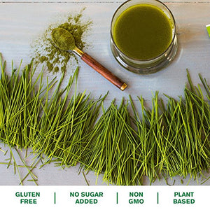 Amazing Grass Wheat Grass Powder: 100% Whole-Leaf Wheat Grass Powder for Energy, Detox & Immunity Support, Chlorophyll Providing Greens, 15 Servings