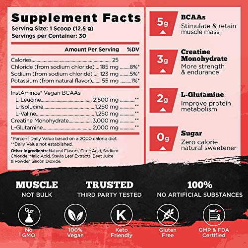 VINTAGE BUILD Post Workout BCAA, Creatine, L-Glutamine - The Essential 3-in-1 Muscle Building Recovery Powder for Men and Women (Fresh Berries) - Keto Friendly - 377 Grams - 30 Servings