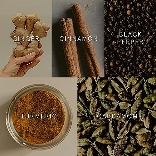Organic Golden Milk Turmeric Powder Mix (180 Servings) + Superfood Blend of Ginger, Black Pepper, Curcumin, Cinnamon, Cardamom - Anti Inflammatory, Non-GMO, Vegan, Keto, Ayurvedic - Turmaquik