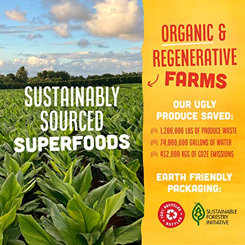 Vive Organic Energy + Immunity Dual Boost Shot (2oz bottle)